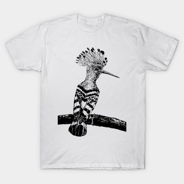 Hoopoe drawing T-Shirt by katerinamk